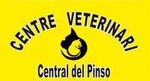 Central del Pinso