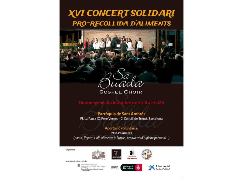 XVI Concert Solidari (Pro-recollida d'Aliments)
