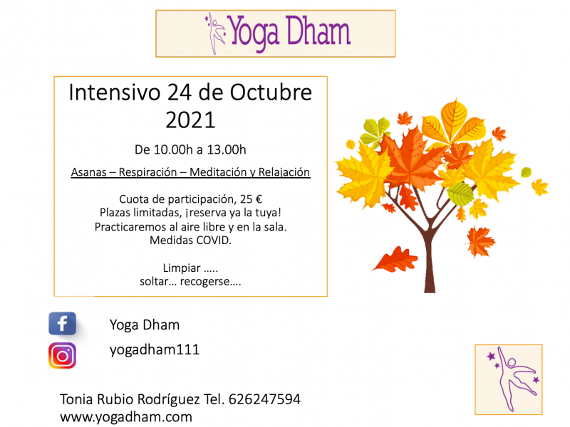 Yoga Dham (8)