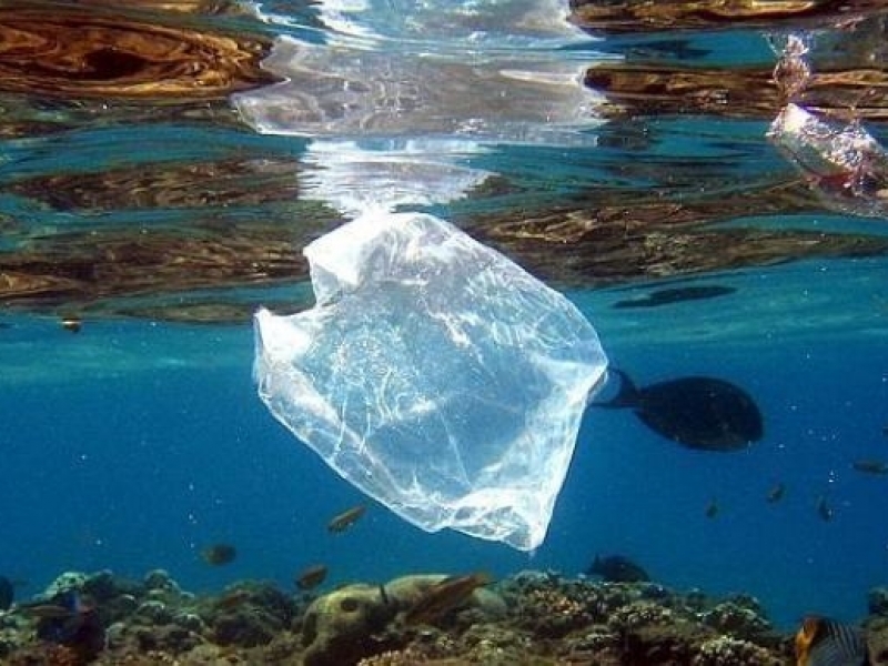 Prohibició gratuïtat bosses de plàstic als comerços